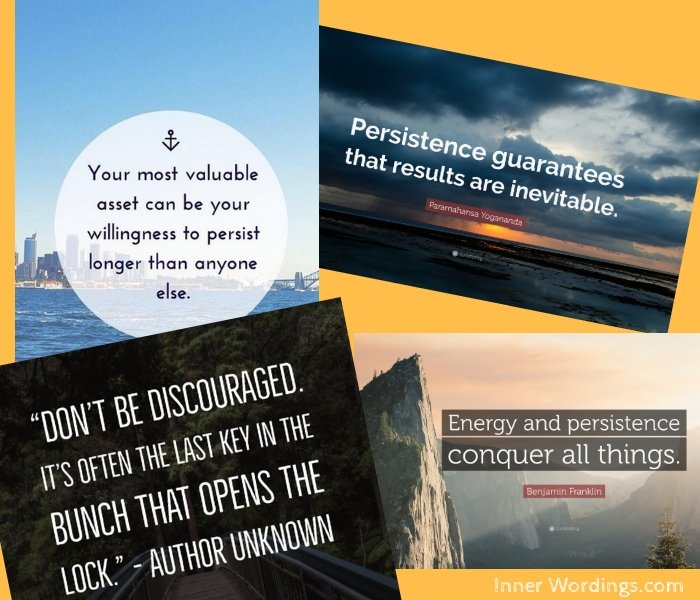Image grouping together various quotes on persistence