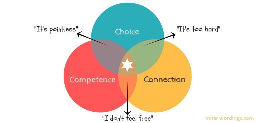 how choice, connection and competence affect your type of motivation